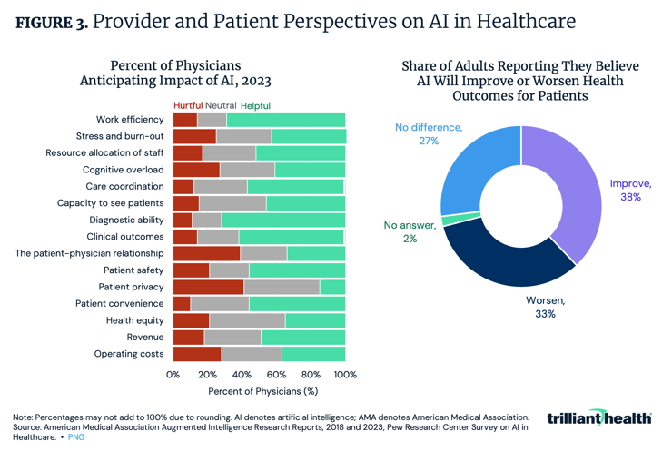 Provider and Patient Perspectives on AI in Healthcare